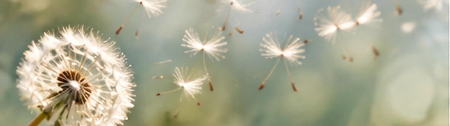 Anxiété et ménopause après 50 ans